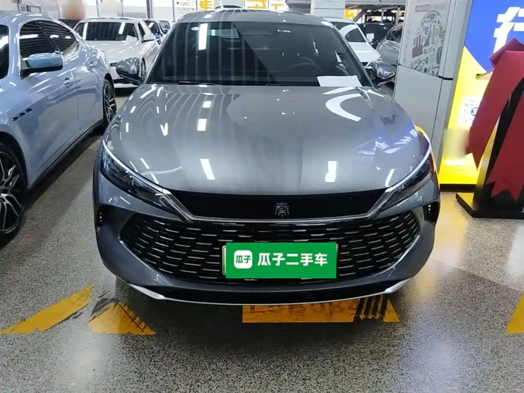 Qin L DM-i Smart Drive 120 KM Transcend