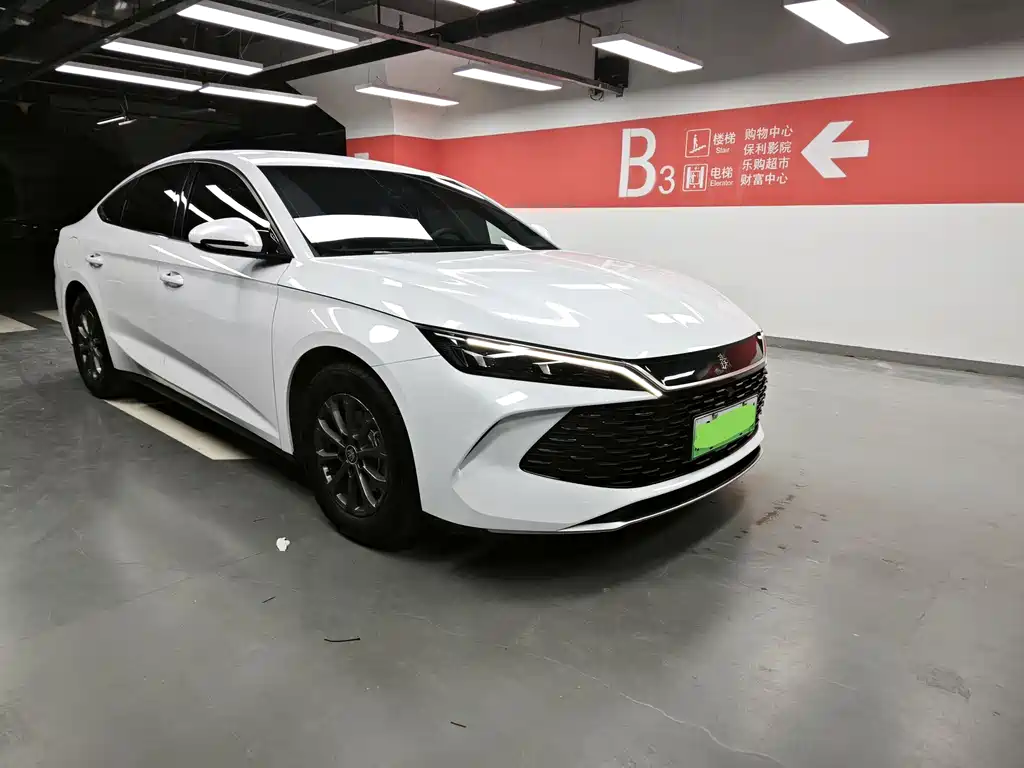 Qin L DM-i 80 KM Leading