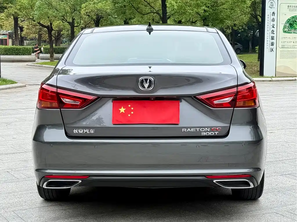 Ruicheng CC Blue Whale 1.5 T DCT Distinguished