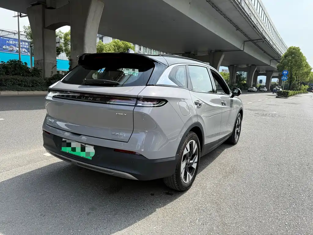 Yueyi 07 210 km Pleasure