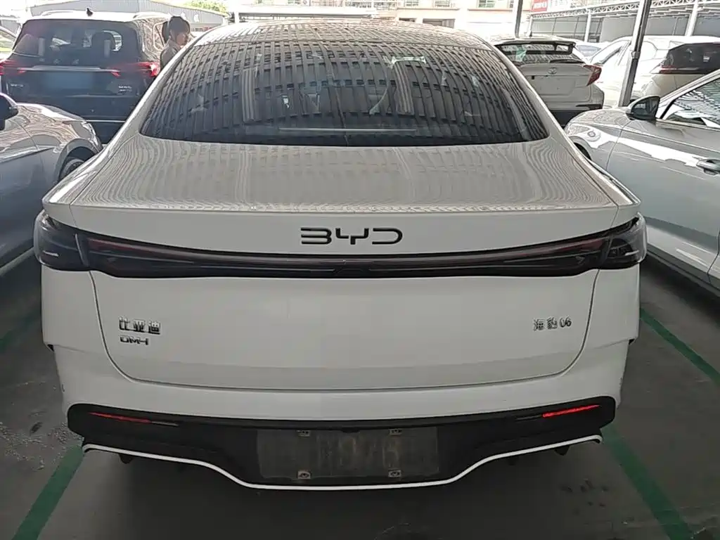 Seal 06 DM-i 120 KM Flagship