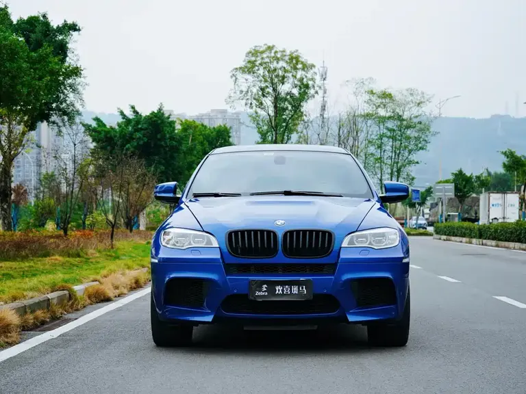 BMW X6 M