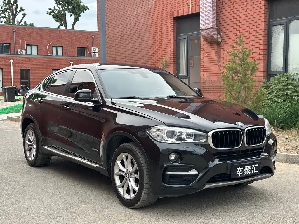 BMW X6 xDrive35 i Leading