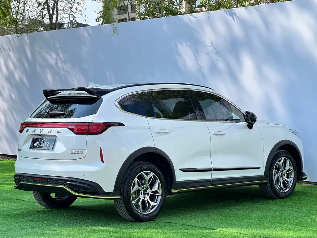 Haval Chitu Power Enjoyment 1.5 T Bronze Rabbit