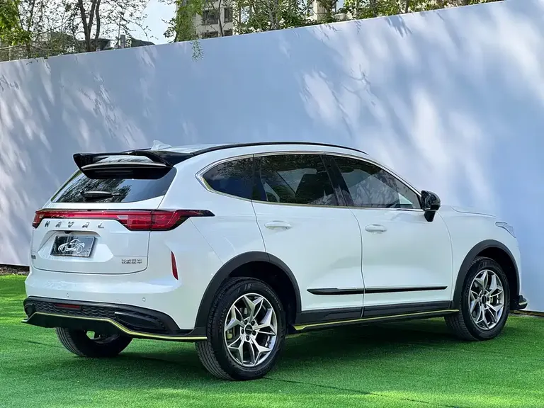 Haval Chitu Power Enjoyment 1.5 T Bronze Rabbit
