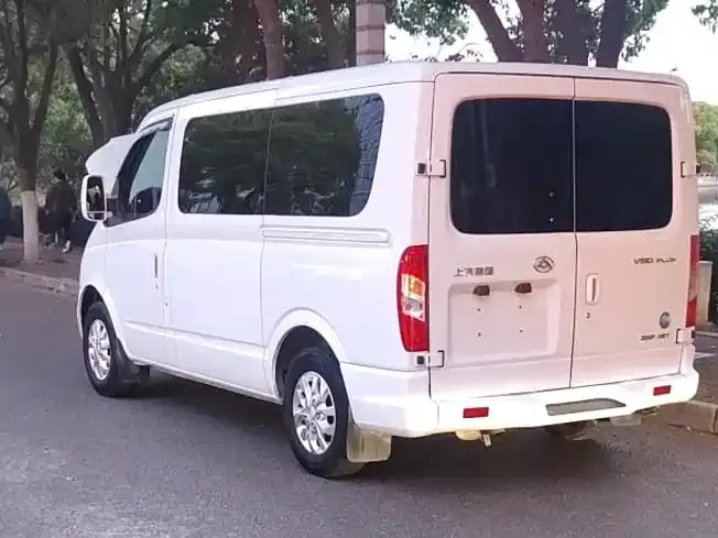 Maxus Xintu V80 新途V80 2020款 2.0 T AMT PLUS城市版短轴超低顶5/6座