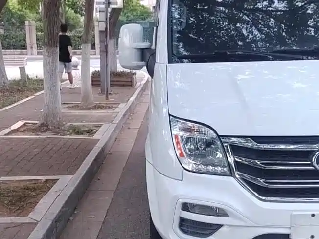 Xintu V80 新途V80 2020款 2.0 T AMT PLUS城市版短轴超低顶5/6座