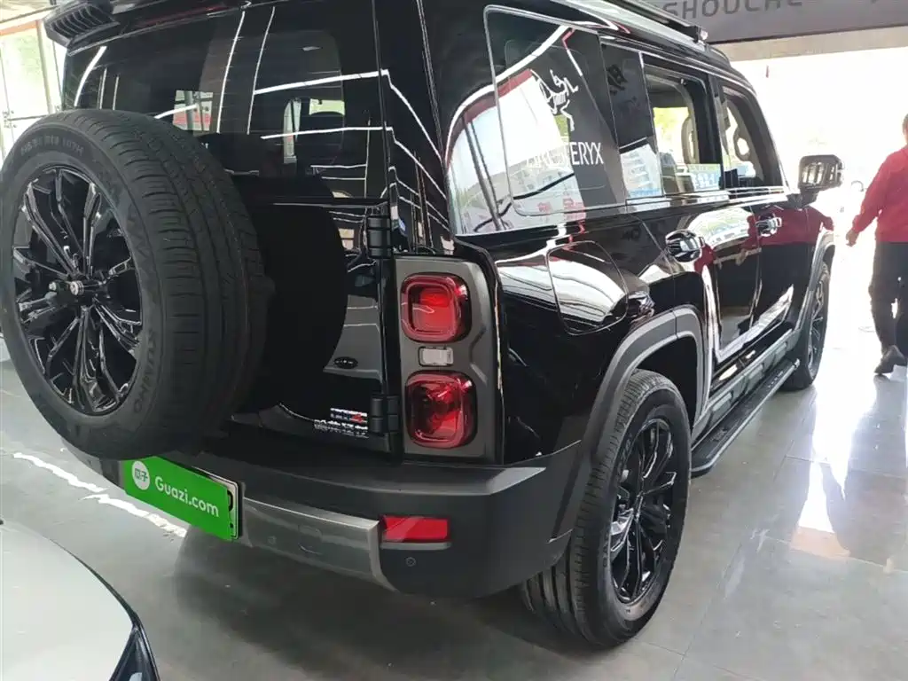 Haval Menglong NEV Hi4 145 Cross