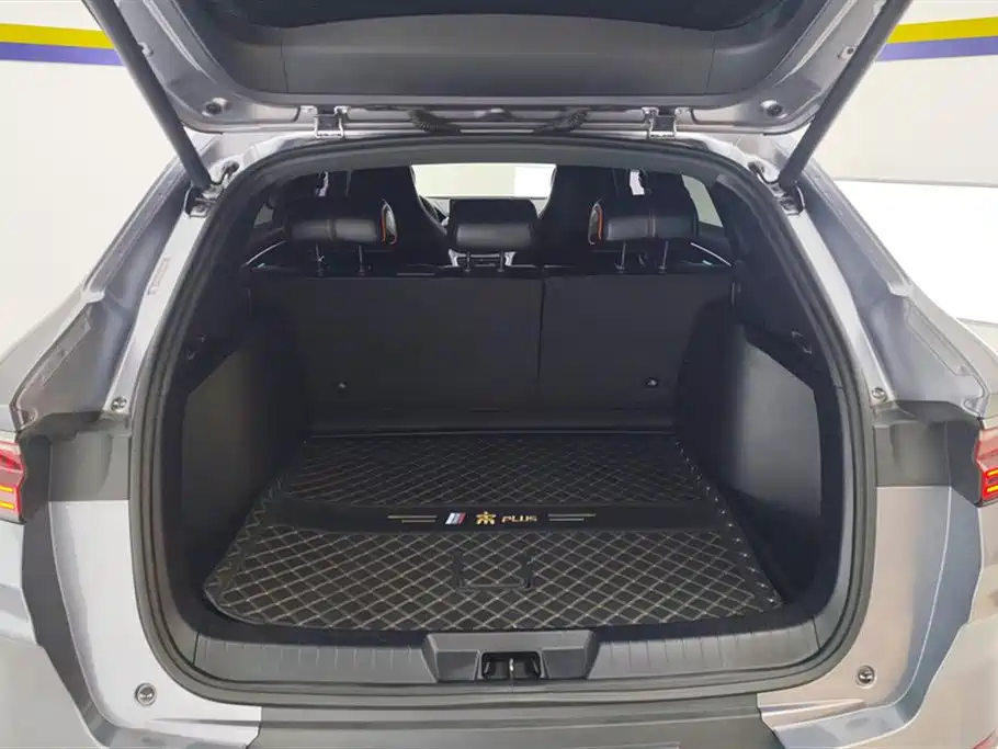Song PLUS 1.5 T Auto Flagship
