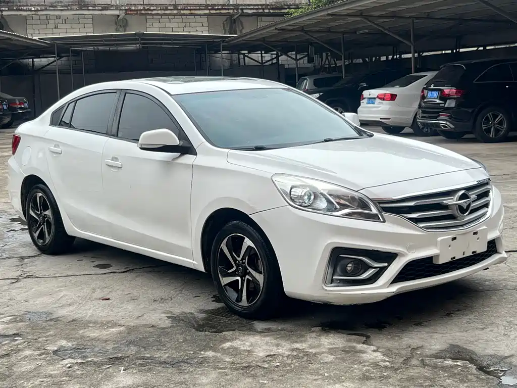 Family 1.6 L Manual Luxury