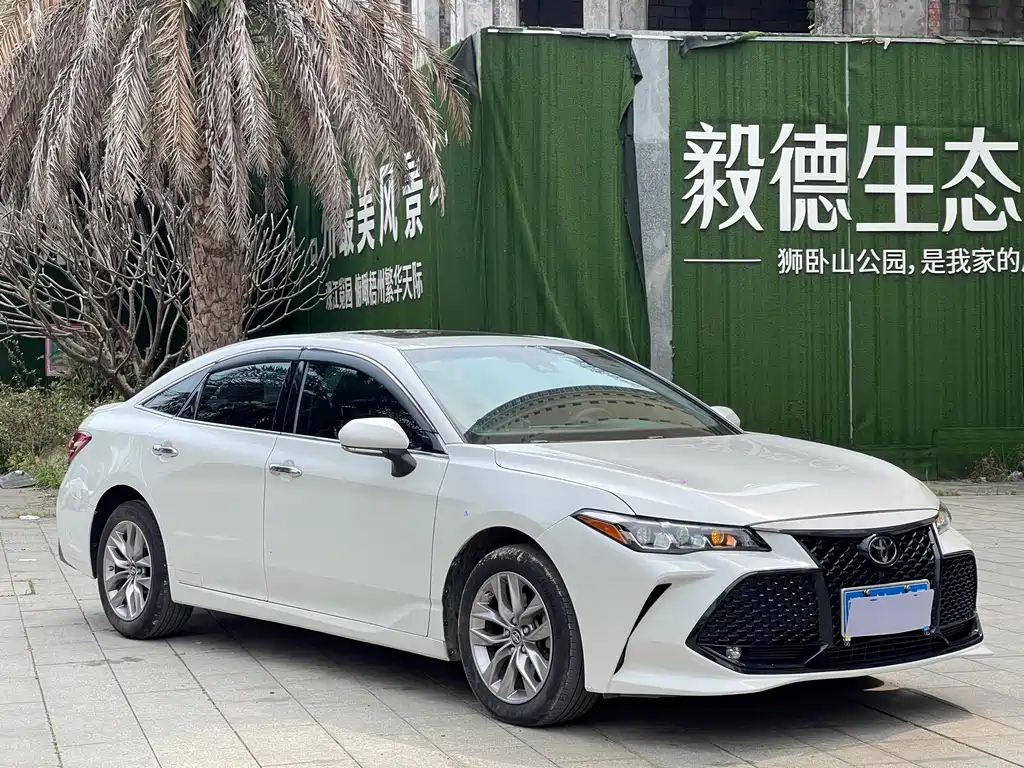 Avalon 2.0 L Luxury CN-VI