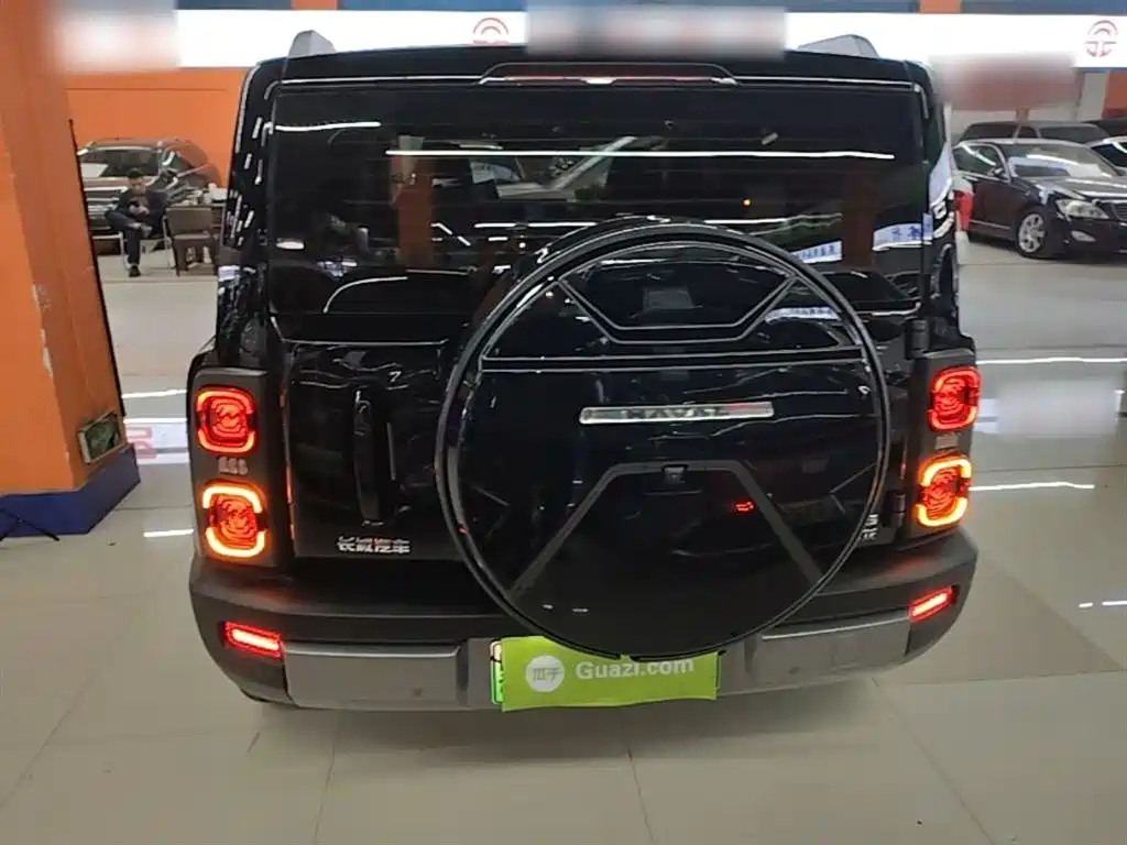 Haval Menglong NEV Hi4 145 Pro