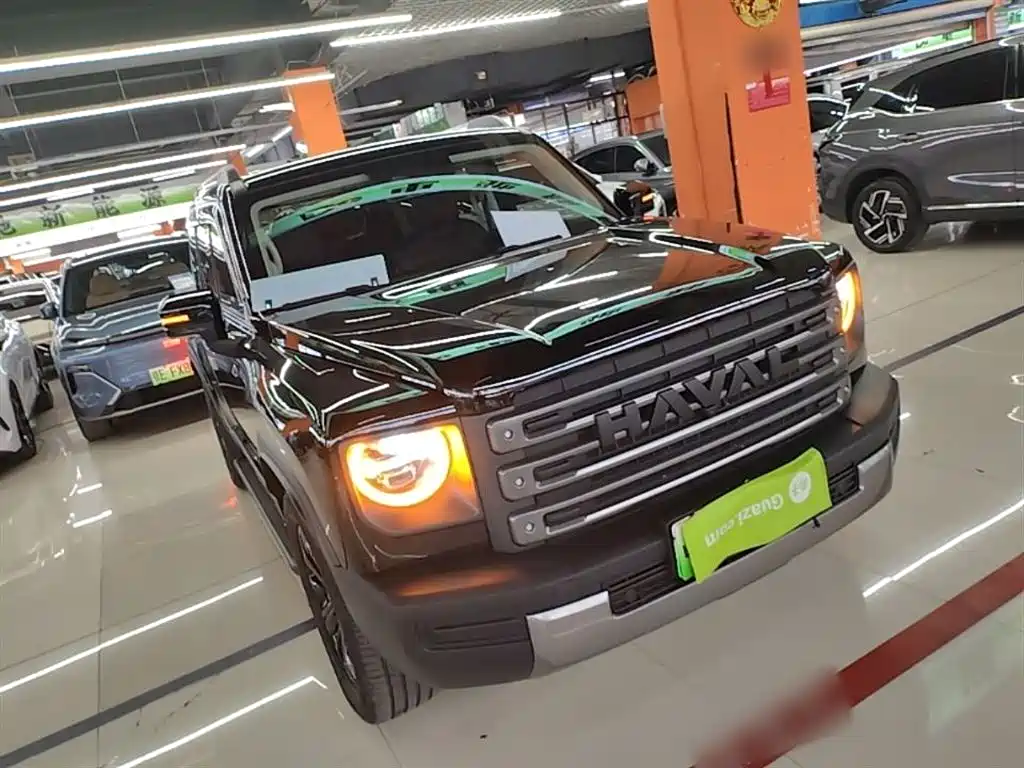 Haval Menglong NEV Hi4 145 Pro
