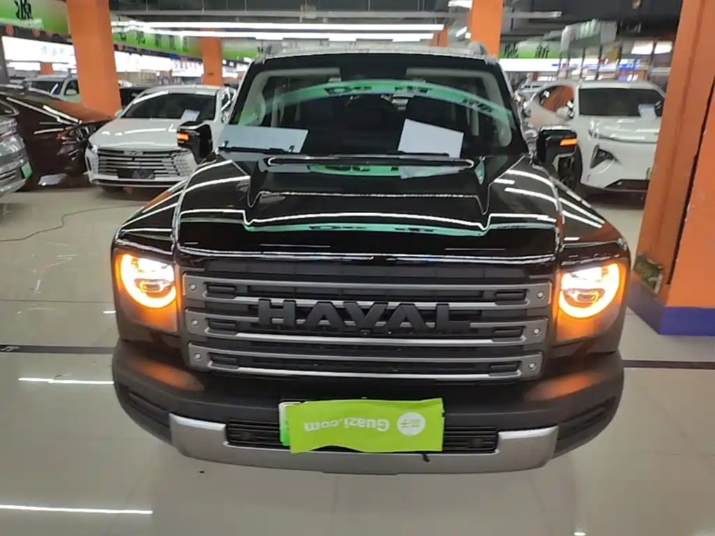 Haval Menglong NEV Hi4 145 Pro