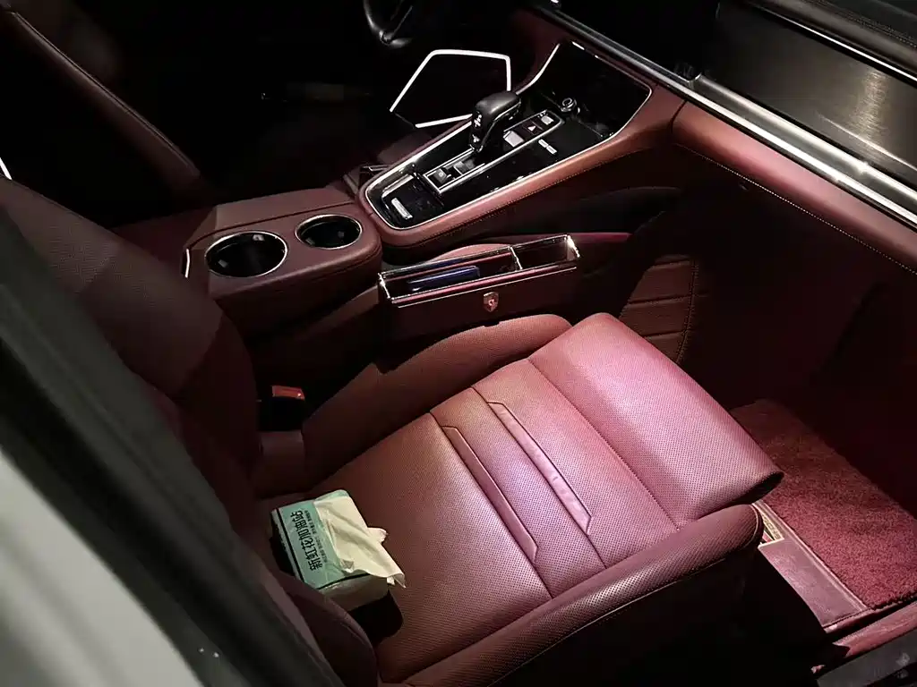 Panamera Panamera 2.9 T Platinum
