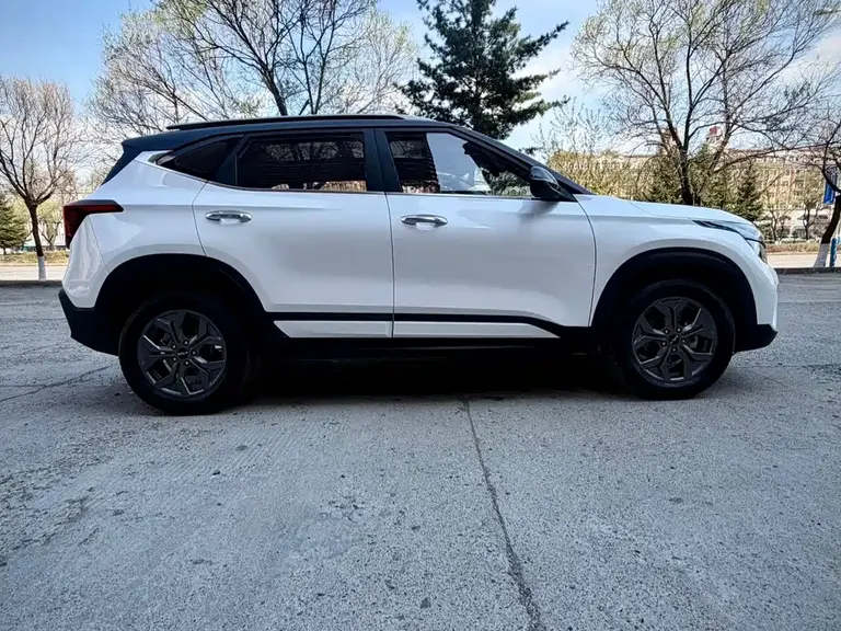 Kia Seltos 1.5 L CVT Luxury