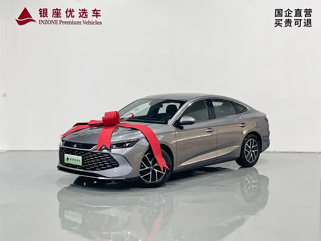 Qin L DM-i 80 KM Transcend