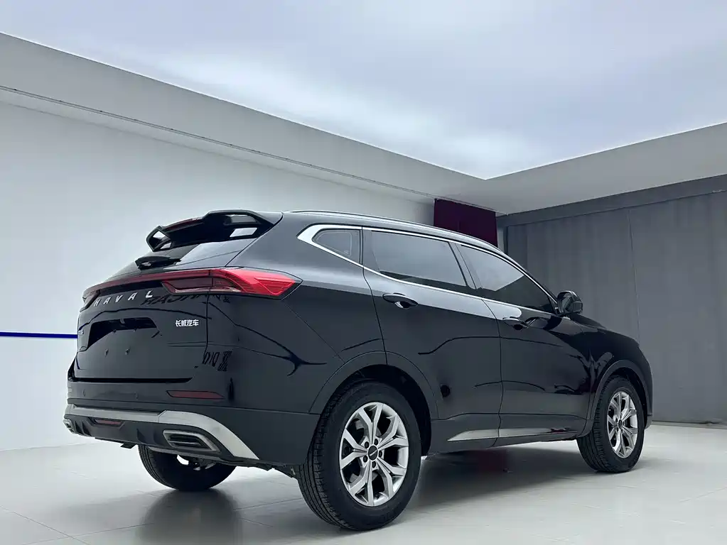 Haval H6 China Style 1.5 T Auto Champion