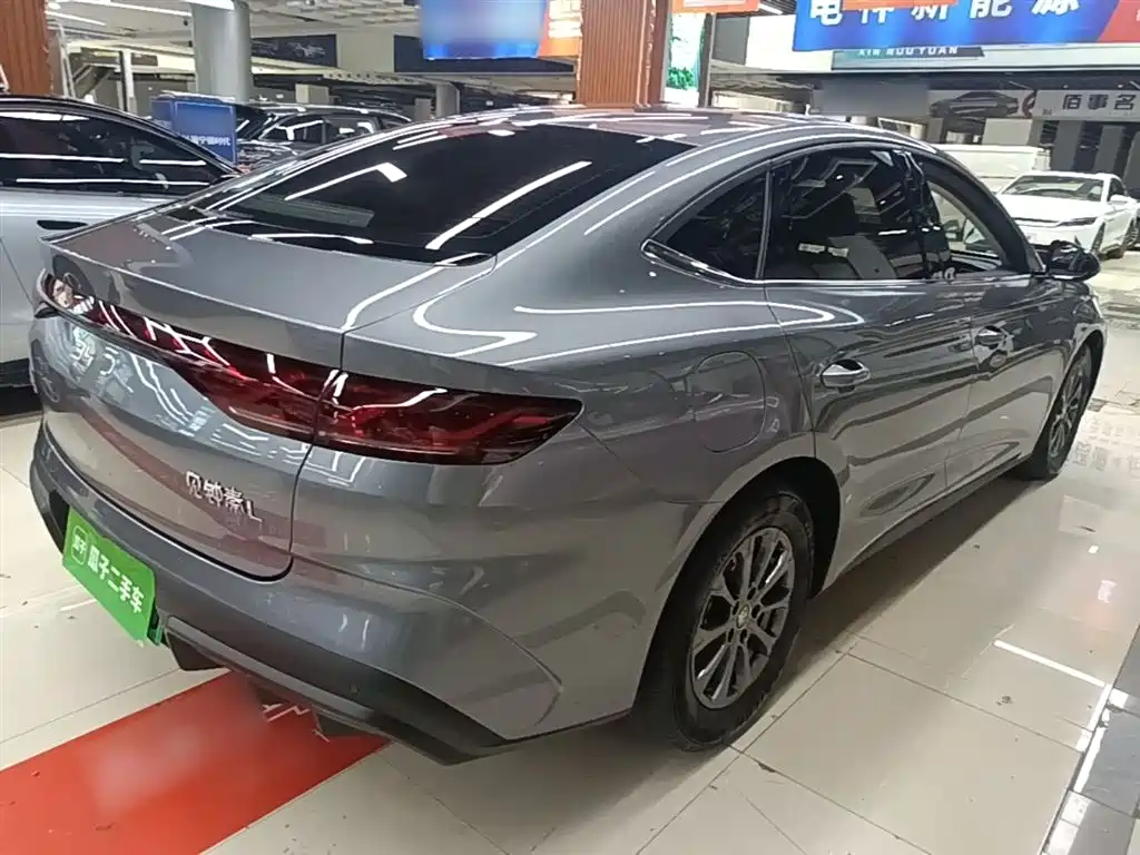 Qin L DM-i 80 KM Leading