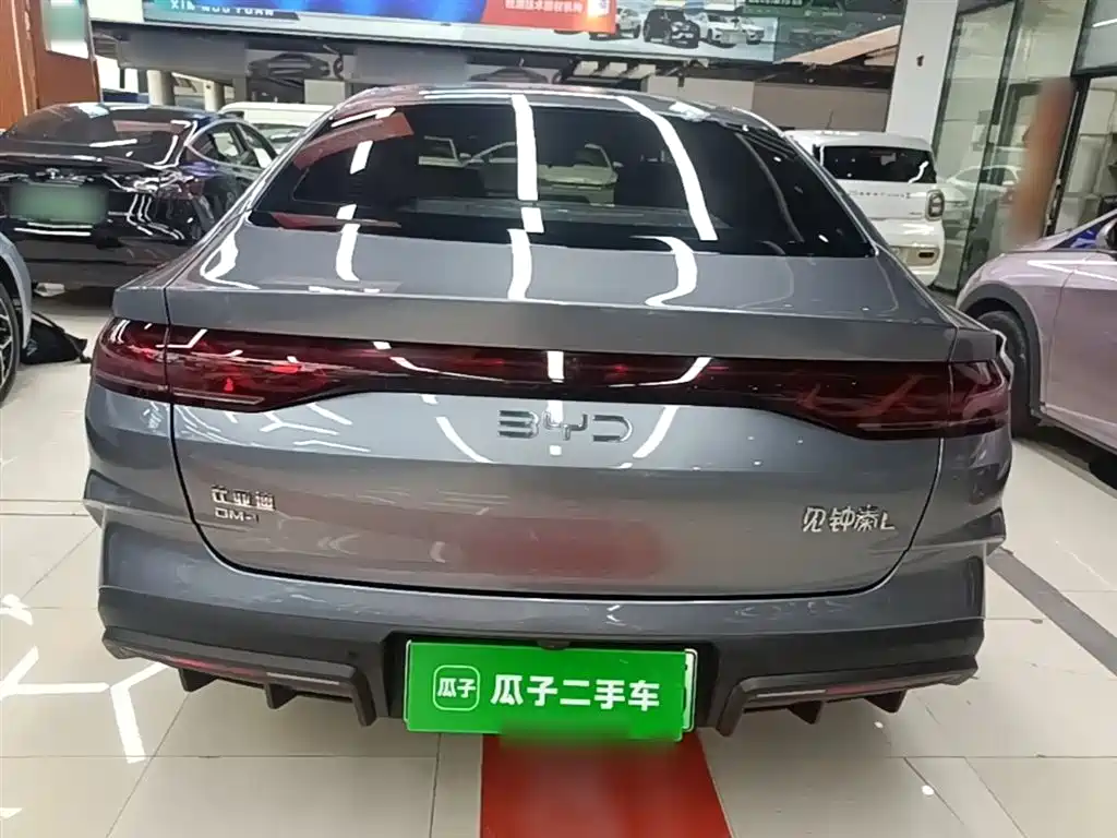 Qin L DM-i 80 KM Leading