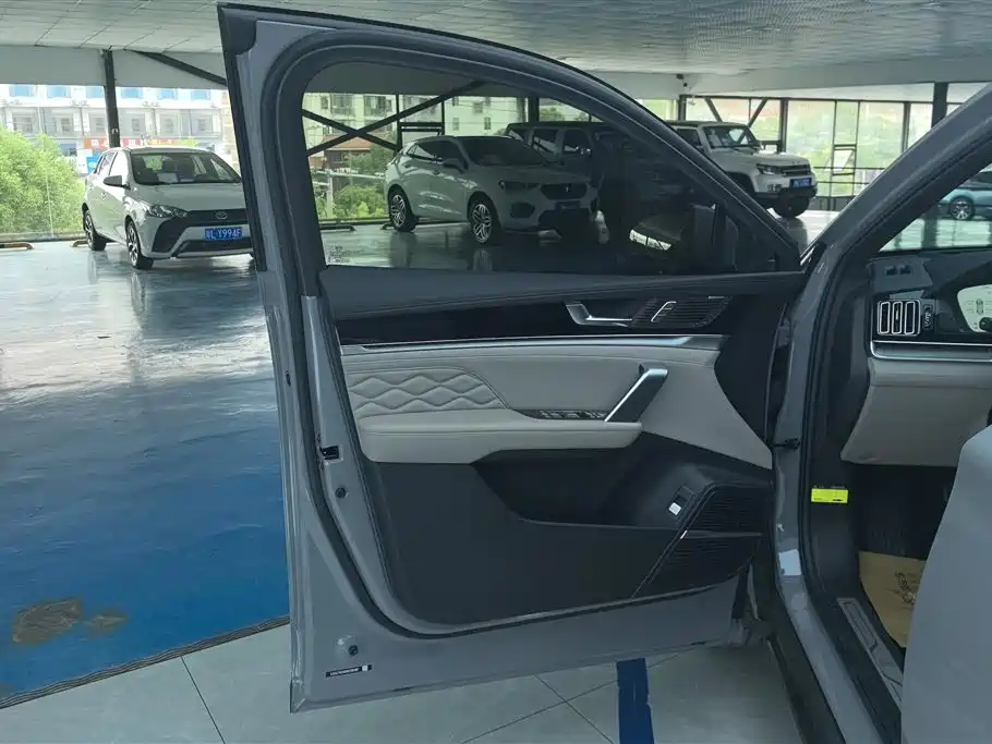 Tang NEV DM-i 115 KM Flagship