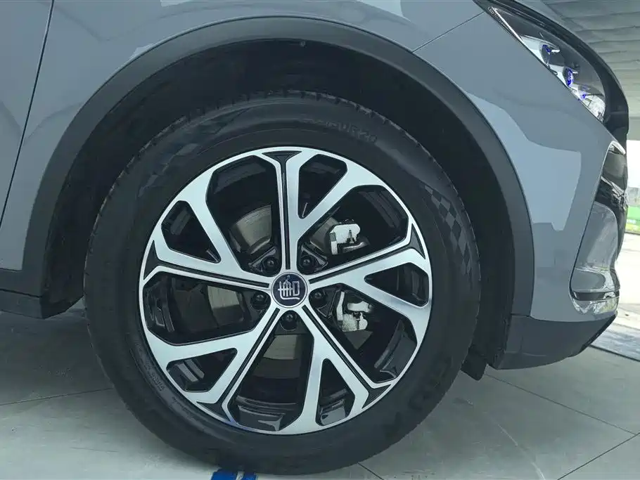 Tang NEV DM-i 115 KM Flagship
