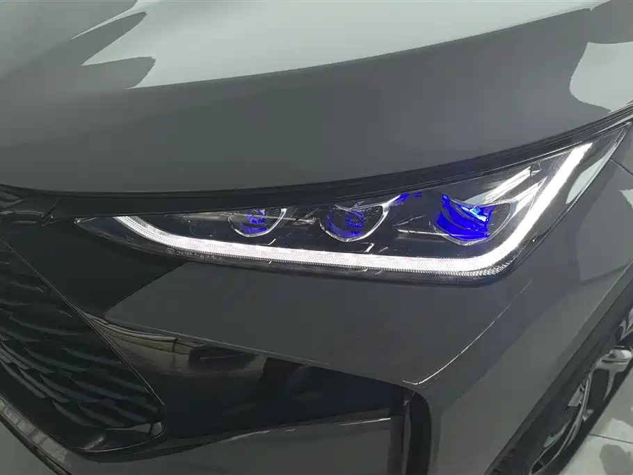 Tang NEV DM-i 115 KM Flagship