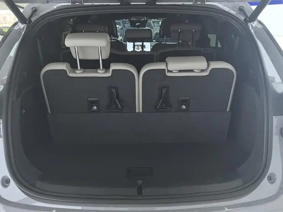 Tang NEV DM-i 115 KM Flagship
