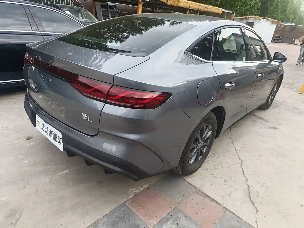 Qin L DM-i 80 KM Leading