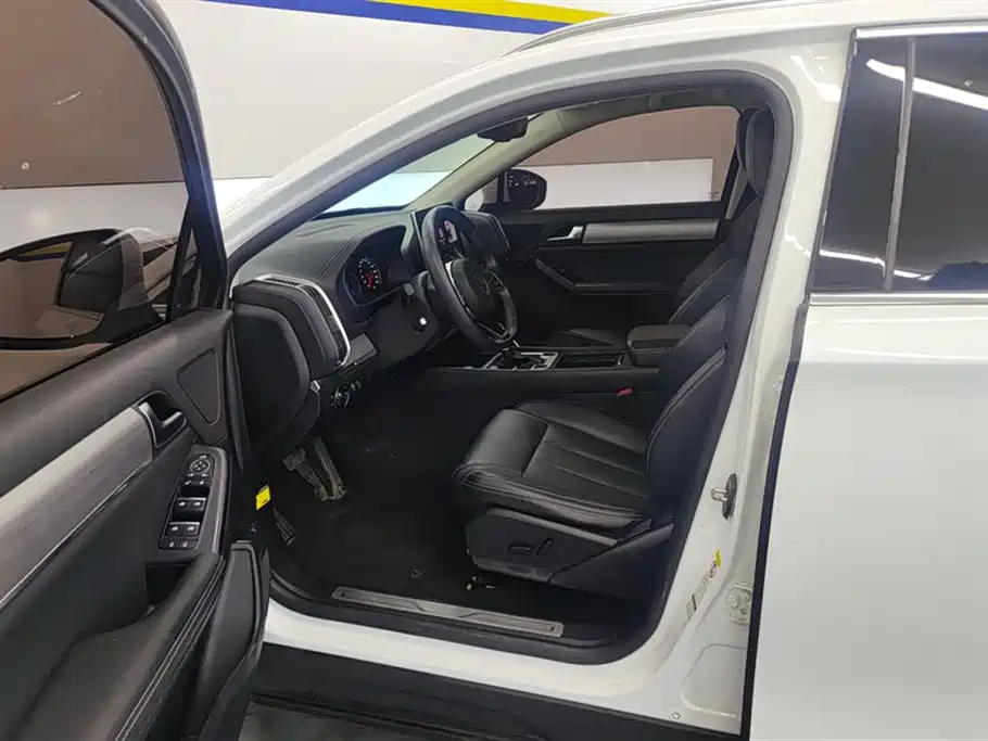 Tang 2.0 T Auto Connected Distinguished 5-seat CN-V