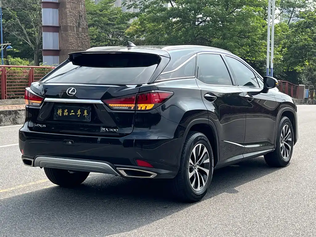 Lexus RX 300 2 WD Comfort CN-VI