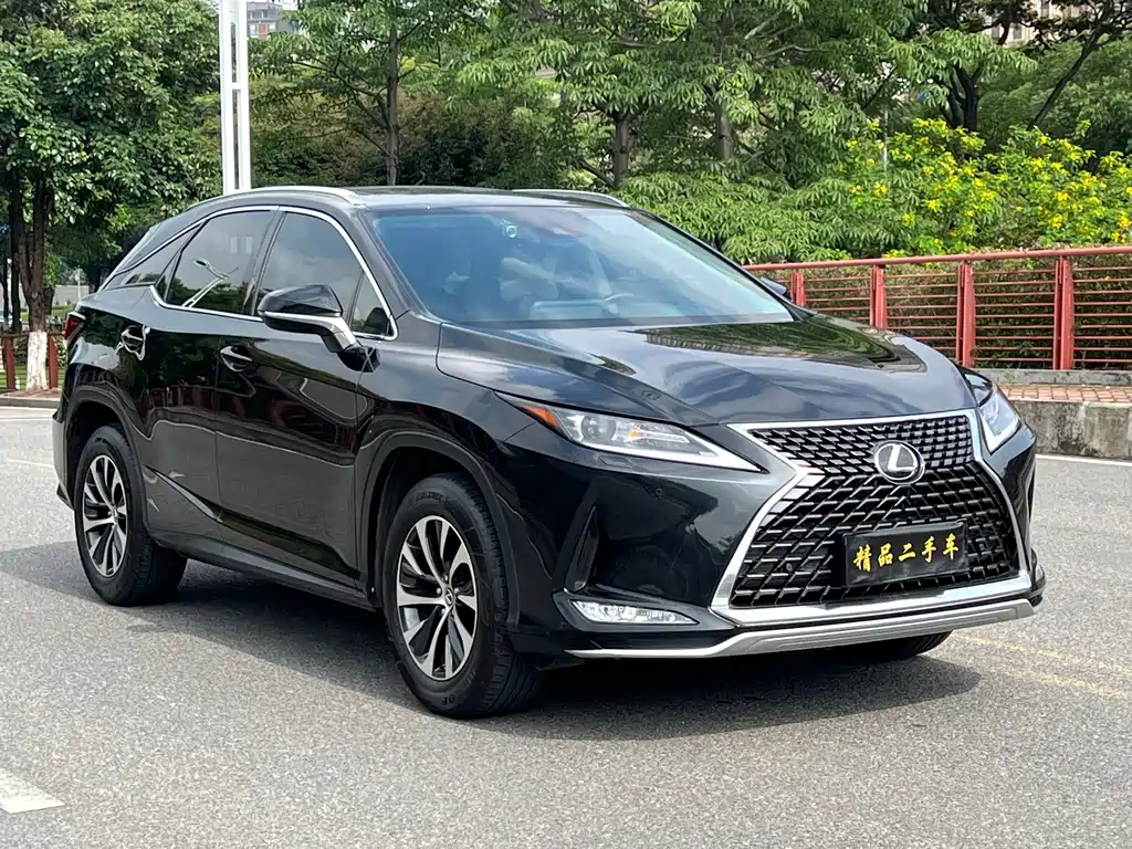 Lexus RX 300 2 WD Comfort CN-VI