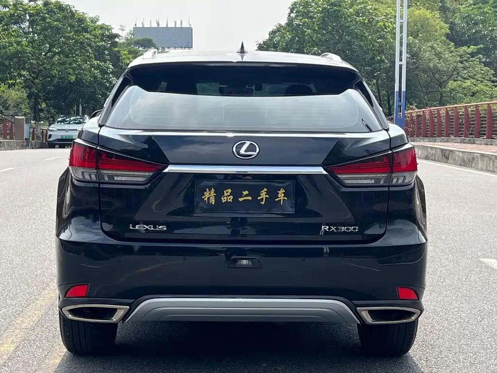 Lexus RX 300 2 WD Comfort CN-VI