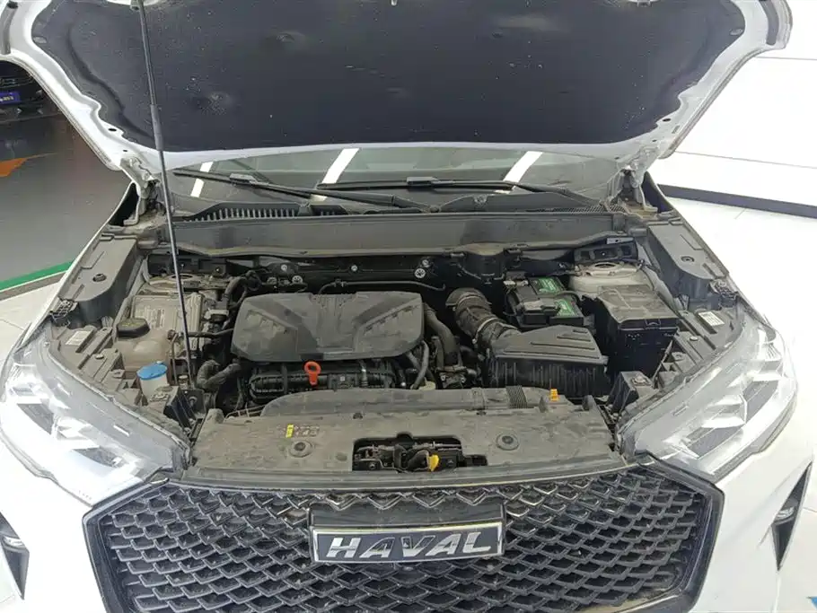 Haval H6 3 rd Gen 2.0 T Auto 2 WD Max