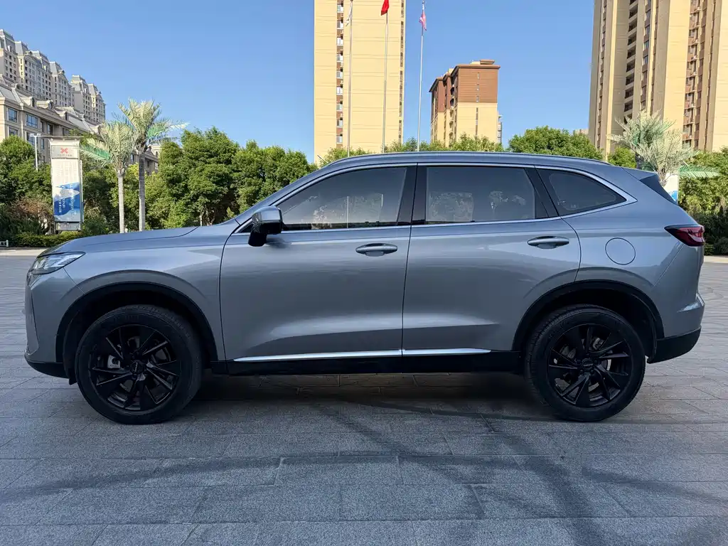 Haval H6 3 rd Gen 2.0 T Auto 4 WD Max