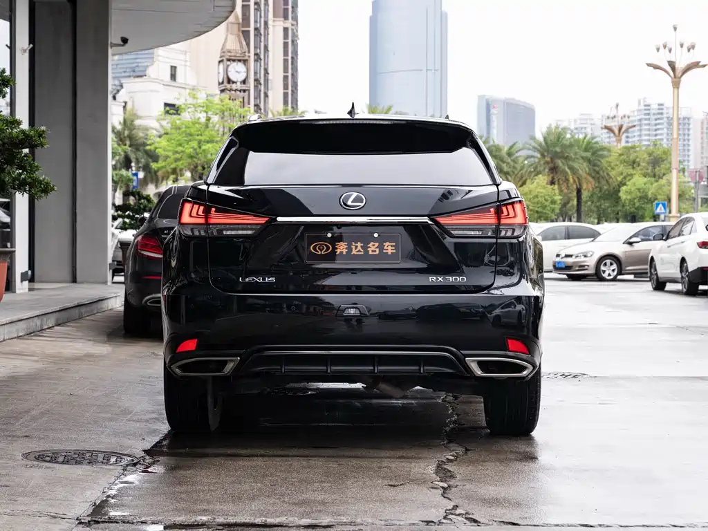 Lexus RX 300 4 WD F SPORT CN-VI