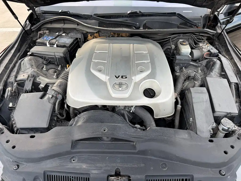 Mark X 2.5 V Demeanor Elite