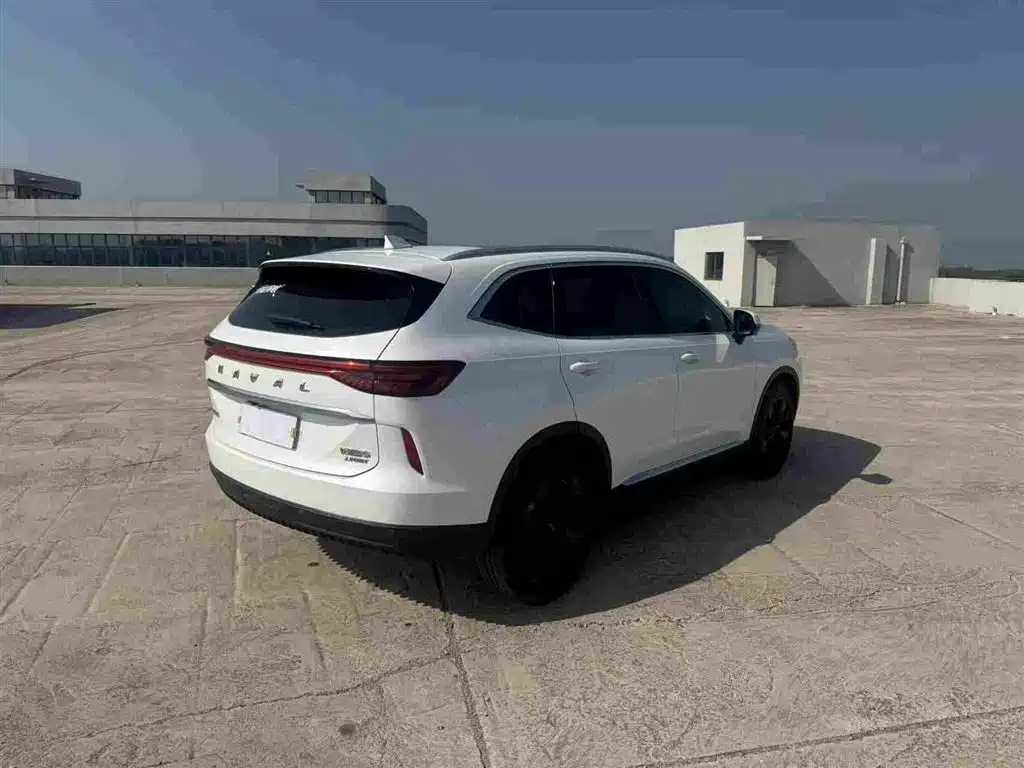 Haval H6 3 rd Gen 2.0 T Auto 4 WD Max