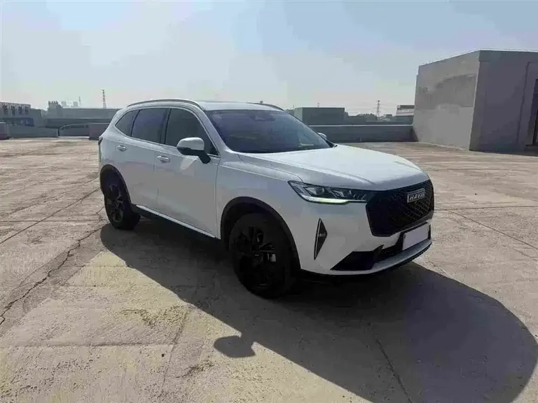 Haval H6 3 rd Gen 2.0 T Auto 4 WD Max