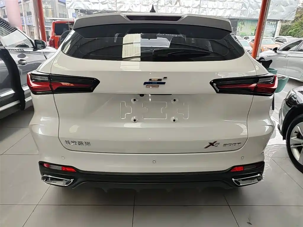 Changan Oshan X5 1.5 T DCT Distinguished