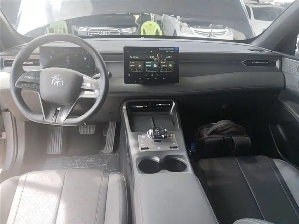 Qin PLUS DM-i Smart Drive 55 KM Leading