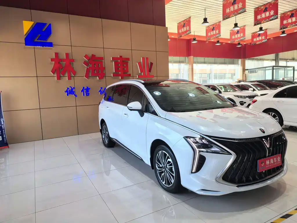 Fengxing Yacht 1.5 T DCT