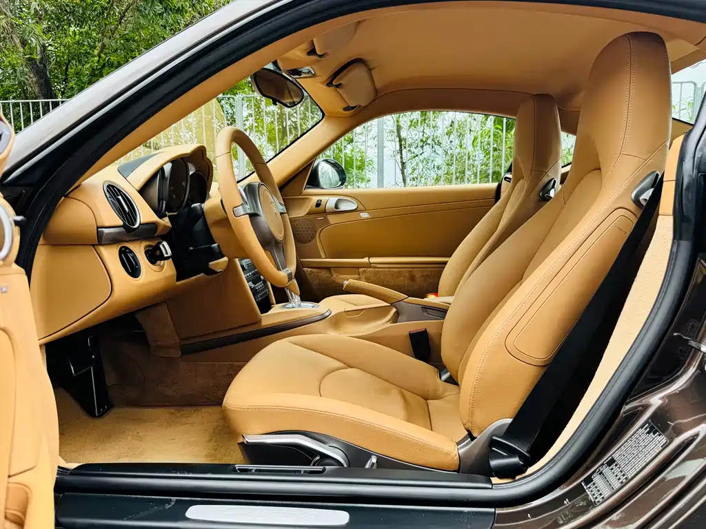 Cayman Cayman 2.9 L