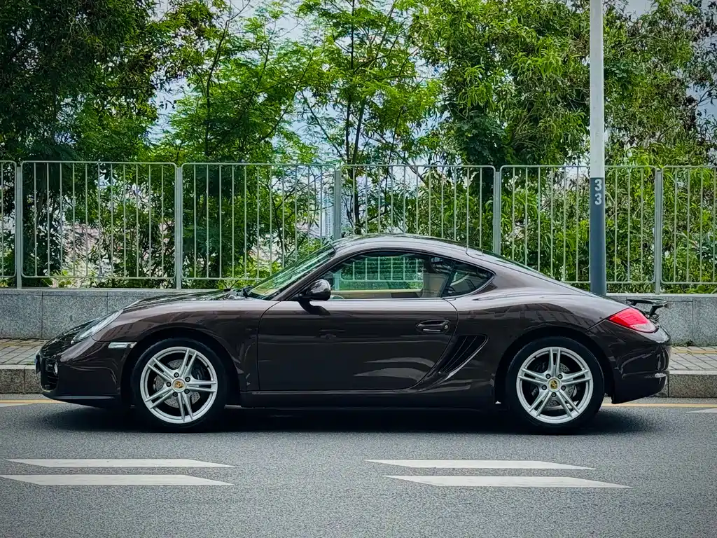 Cayman Cayman 2.9 L