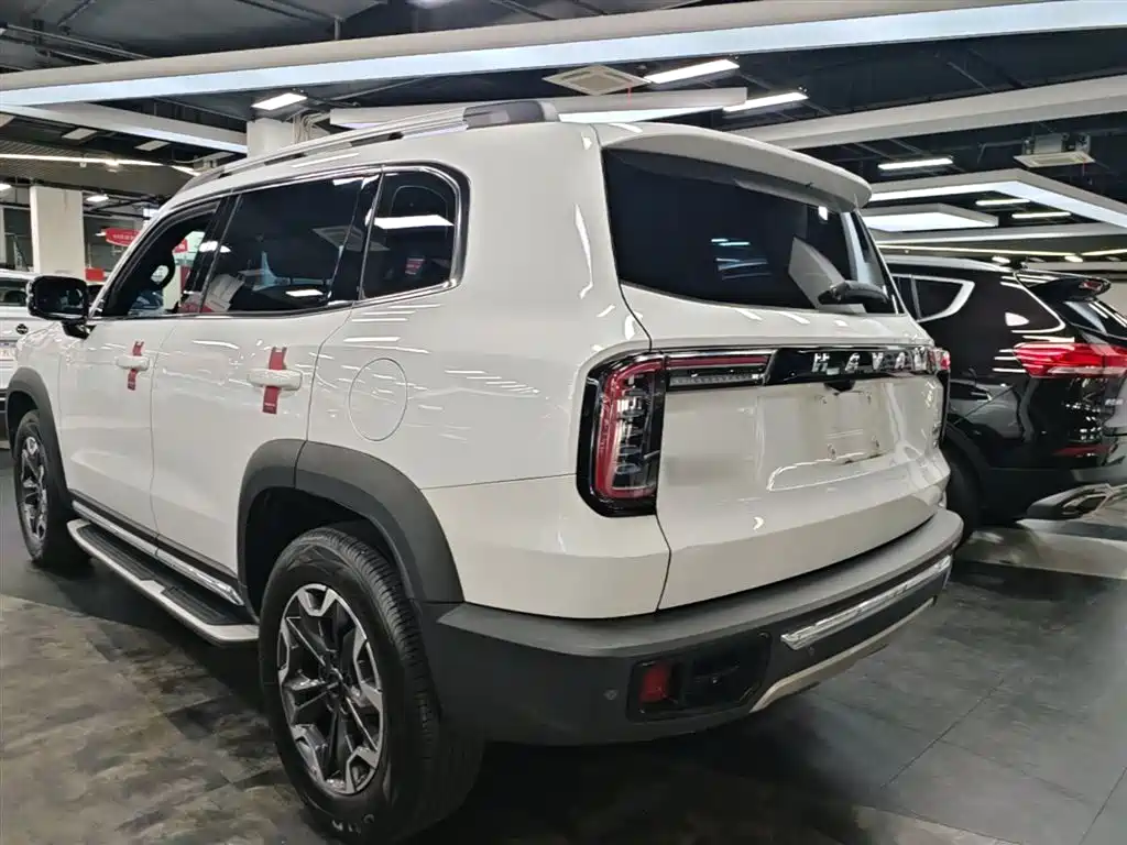 Haval Dargo 2.0 T DCT 4 WD Brilliance Country Dog
