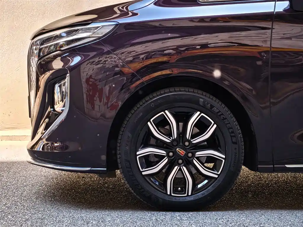 Hongqi HQ9 2.0 T Connected Flagship Enjoyment