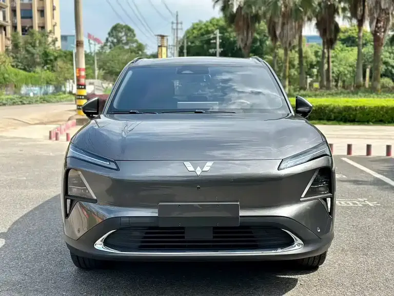 Wuling Starlight S 130 km High Power Flagship