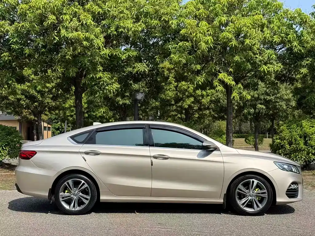 Binrui 14 T CVT Colorful
