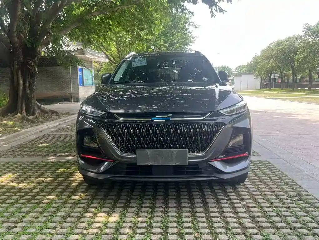 Changan Oshan X7 PLUS 1.5 T Blue Whale Auto Distinguished