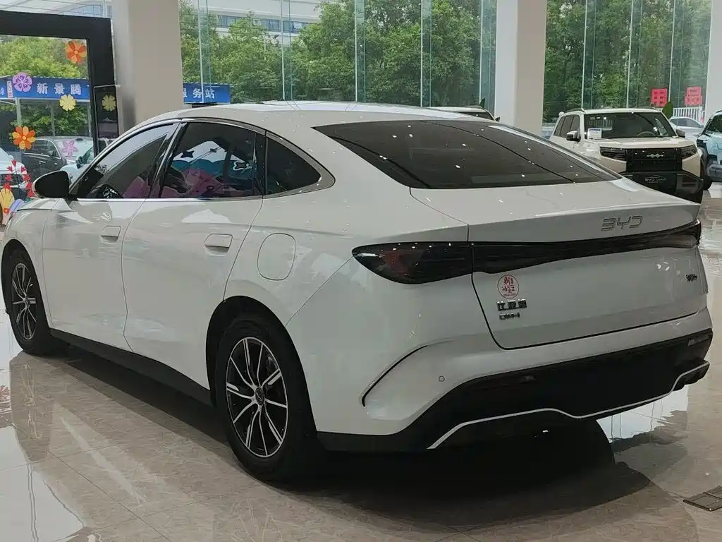 Seal 06 DM-i 120 KM Premium